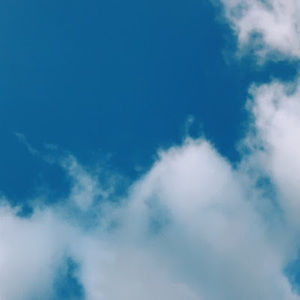 Meet your Posher, Annabelle